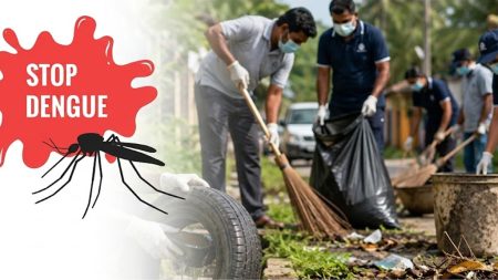 හෙට සිට බස්නාහිර පළාතේ ඩෙංගු මර්දන මෙහෙයුමක්