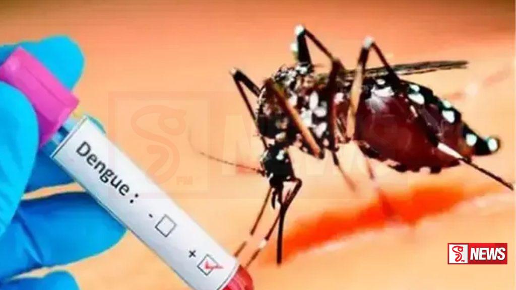 ඩෙංගු බෝවන ස්ථාන දැනුම් දීමට විශේෂ දුරකතන අංකයක්