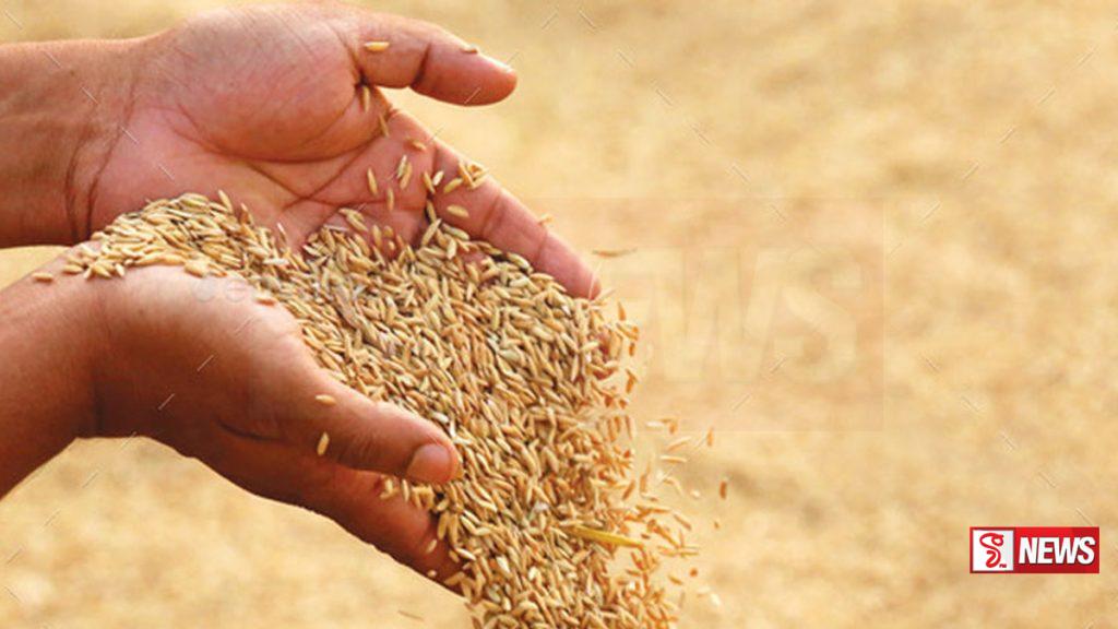වී තොග බෙදා හැරීම පිළිබඳව රජයට යෝජනාවලියක්