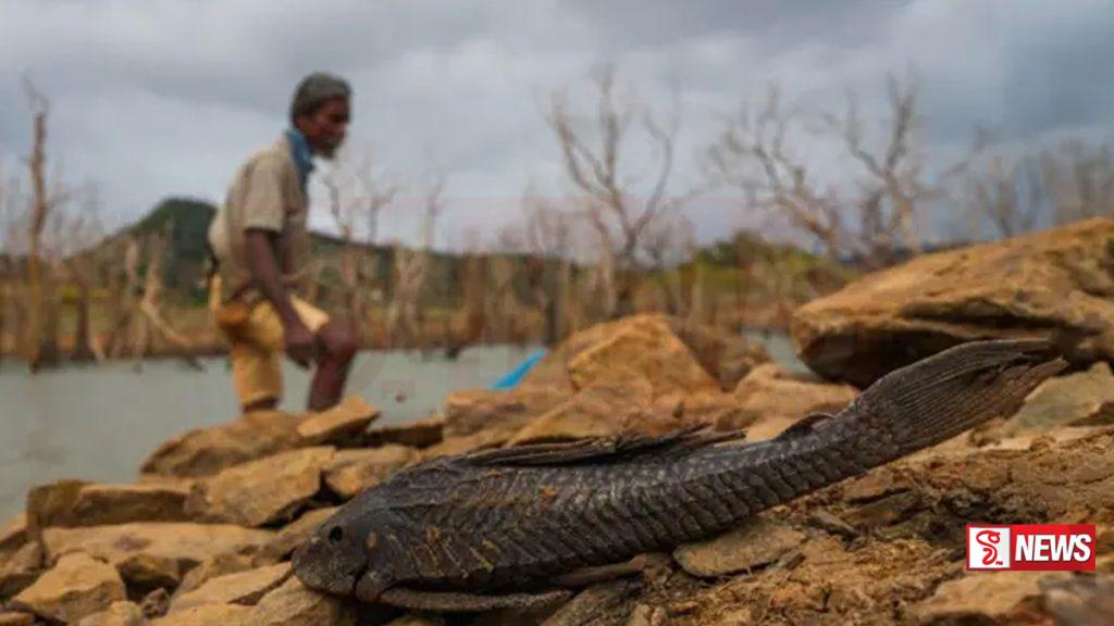 එල් නිනෝ තත්ත්වය ගැන කාලගුණයෙන් දැනුම්දීමක්