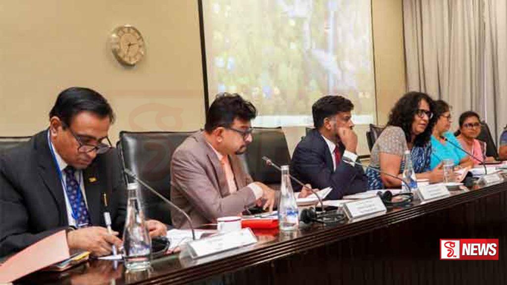 අධ්යාපන වෘත්තික සභාව ස්ථාපනය සඳහා විද්වත් කමිටු වාර්තාවක් කැබිනට් අනුමැතියට