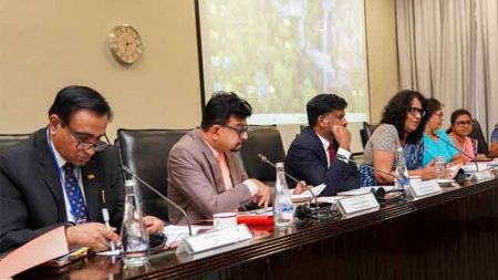 අධ්යාපන වෘත්තික සභාව ස්ථාපනය සඳහා විද්වත් කමිටු වාර්තාවක් කැබිනට් අනුමැතියට