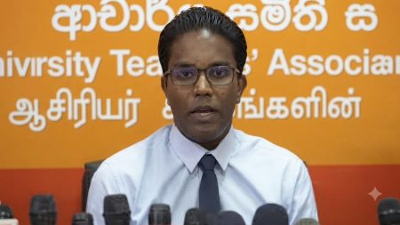 විශ්වවිද්යාල ආචාර්යවරුන් වර්ජනයක නිරතවීමේ සූදානමක