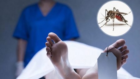 ඩෙංගු මරණ සංඛ්යාව 64 ක් දක්වා ඉහළට