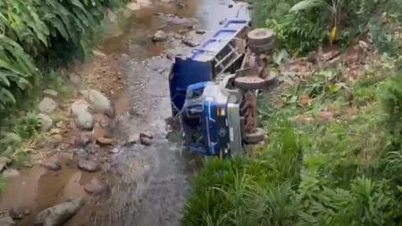දෙමෝදර ගඟට ලොරියක් පෙරළෙයි