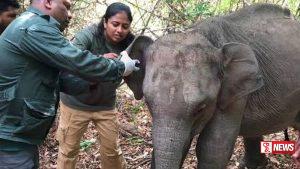 වනජීවී පශු වෛද්යවරුන්ගේ වෘත්තීය ක්රියාමාර්ගයට මාස 2 ක් ඉක්මවයි