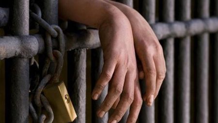 පුරාවස්තු සොයා කැණීම් කළ 8 දෙනෙකු අත්අඩංගුවට