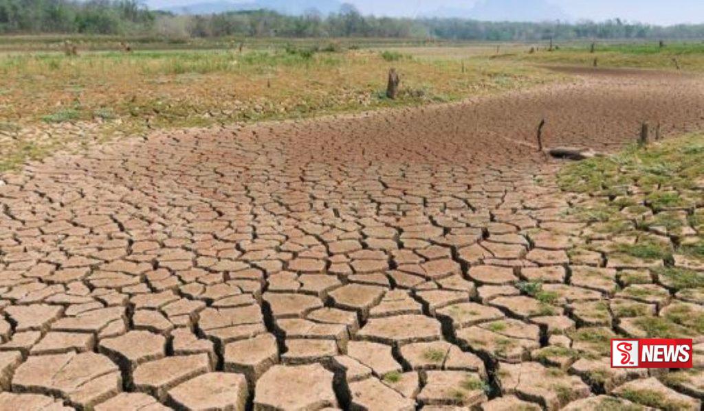 නියගයෙන් හානි වූ වගා සදහා වන්දි ලබා දීමට තීරණයක්