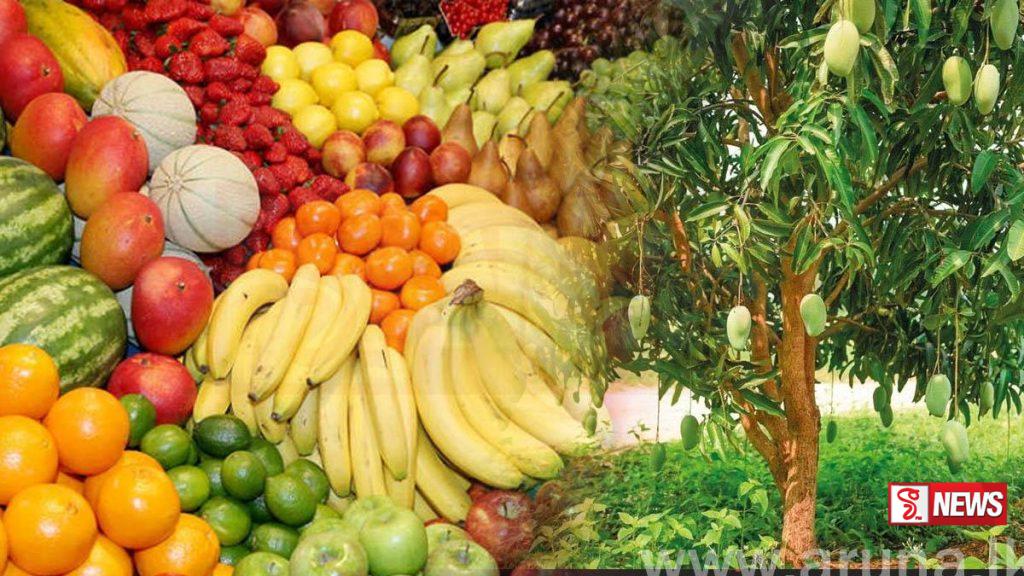 පලතුරු ගොවීන්ට නව රක්ෂණාවරණයක්