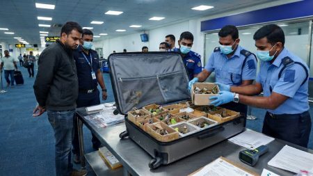 නීතී විරෝධී පක්ෂීන් තොගයක් සමඟ පුද්ගලයෙකු අත්අඩංගුවට