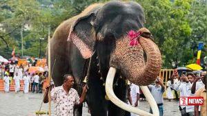 කතරගම වාසනා පෙරහැර සඳහා ලබා දීම සීමා කෙරේ