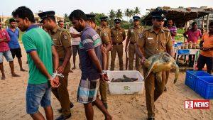 කැස්බෑවන් පෙන්වා මුදල් ඉපයූ තිදෙනෙකු අත්අඩංගුවට