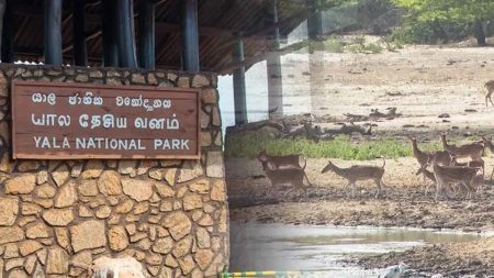 යාල 1 සහ 2 කලාප අද සිට වසා දැමේ