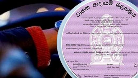 ඉලෙක්ට්රොනික ආදායම් බලපත්ර නිකුත් කිරීම තාවකාලිකව අත්හිටුවීමට පියවර