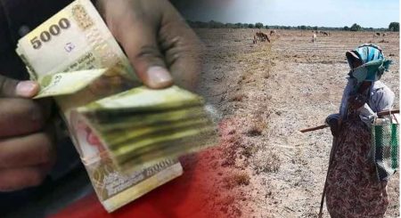 වියළි කාලගුණයෙන් සිදුවූ වගා හානි සඳහා වන්දි ගෙවීම ඇරඹෙයි