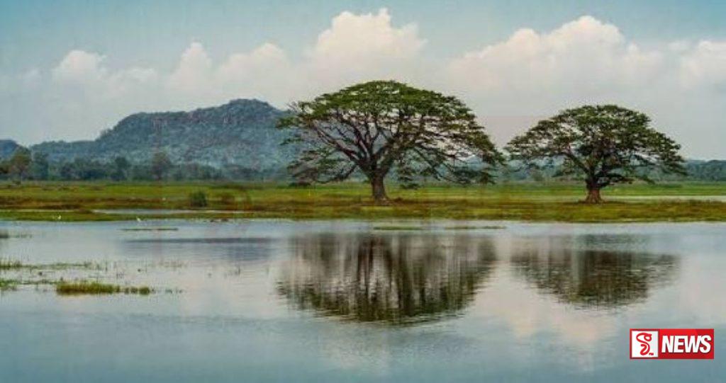 සුළු වාරි වැව් 296ක් ප්රතිසංස්කරණය කිරීමට පියවර